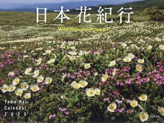 クリックして画像を拡大