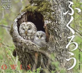 クリックして画像を拡大