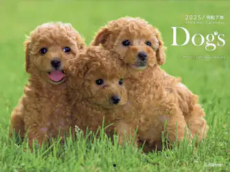 クリックして画像を拡大