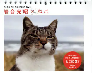 クリックして画像を拡大