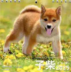 クリックして画像を拡大