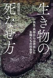 クリックして画像を拡大