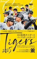 クリックして画像を拡大