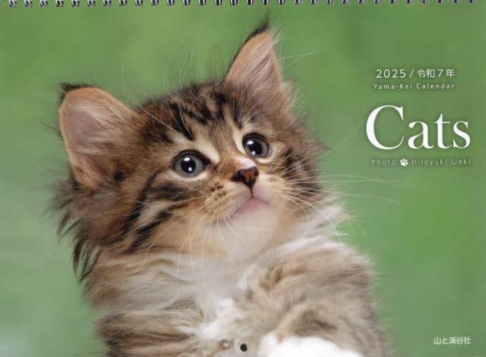 「カレンダー　’２５　Ｃａｔｓ」