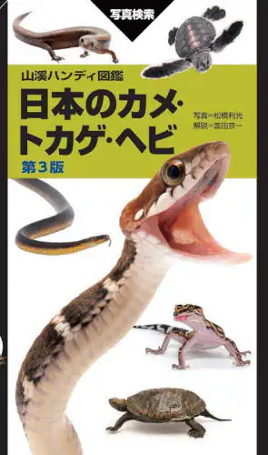 「日本のカメ・トカゲ・ヘビ　写真検索」