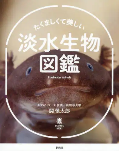 「たくましくて美しい淡水生物図鑑」